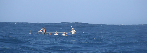 Image of Team Hallin Ocean 