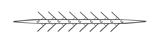 Octuple sculling boat