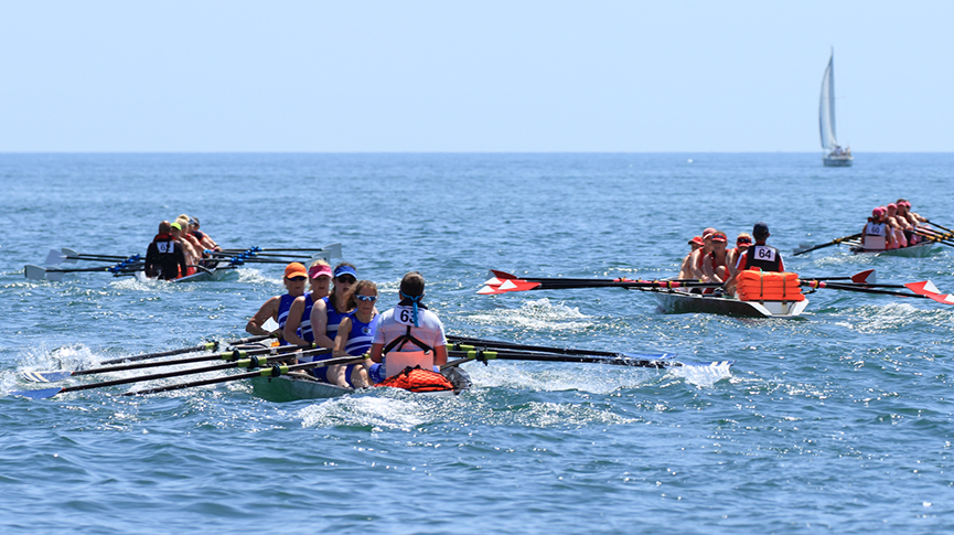 coastal coxed quads