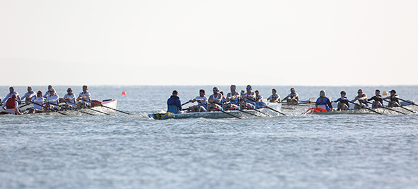 coastal men's coxed quads