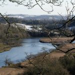 Winter scene with rowing crew on river