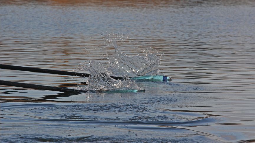 St neots blades in the water